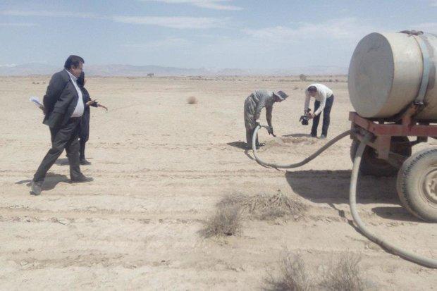 عملیات نهال کاری در 55هکتار از اراضی بیابانی طرود انجام شد