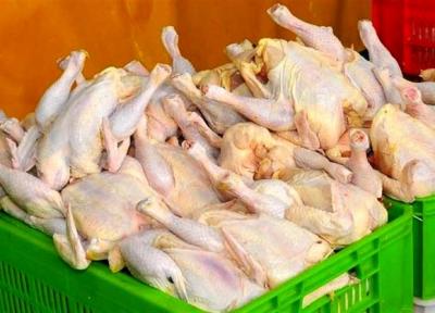 سرپیچی بعضی مغازه ها از کاهش قیمت مرغ، صف خرید هنوز در بعضی مناطق وجود دارد خبرنگاران