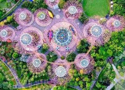 باغ خلیج ؛ مشهورترین و زیباترین جاذبه سنگاپور