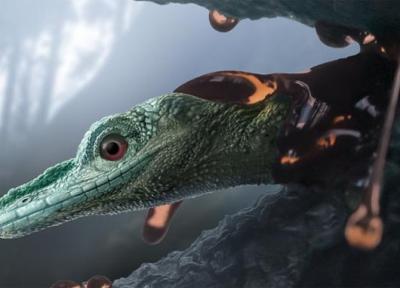 موجودی باستانی که تصور می شد دایناسوری کوچک باشد در واقع مارمولک است