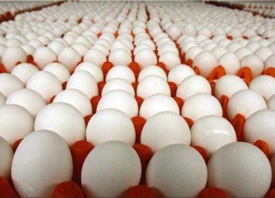 ابلاغ کاهش عوارض صادراتی تخم مرغ در گمرک